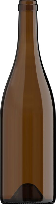 75CL BG REFERENCE II L50