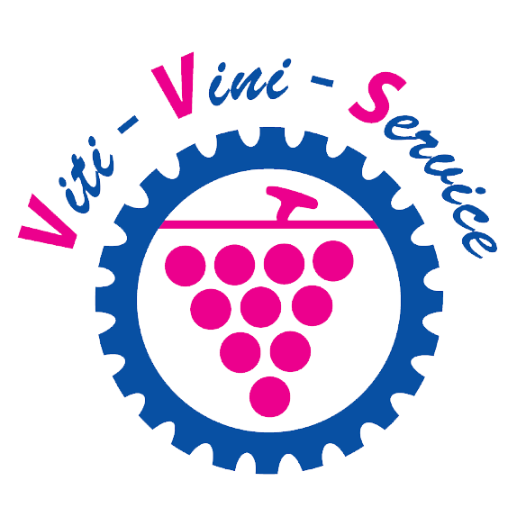 Carton 3 magnums pour vins pétillants